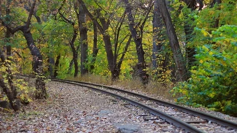 Red-blue moving train close-up on beautiful autumn forest Stock Footage 83321888