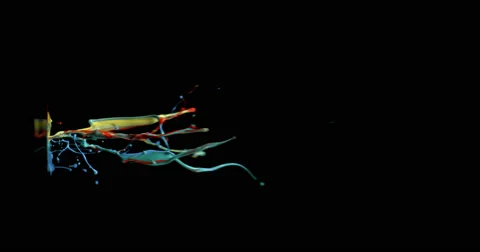 Red &amp; blue paint in motion in 4K Stock-Footage 59921304