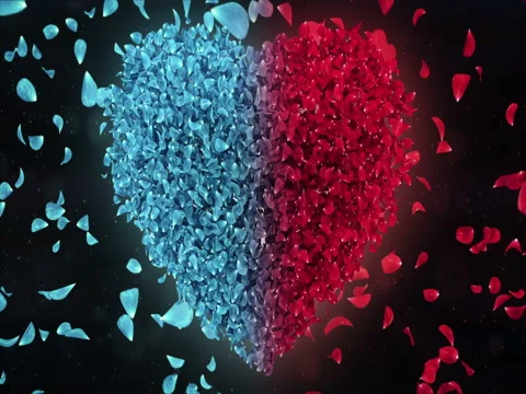 Red Blue Rose Falling Flower Petals In Lovely Heart Shape Background Loop 4k Stock Footage 71781154
