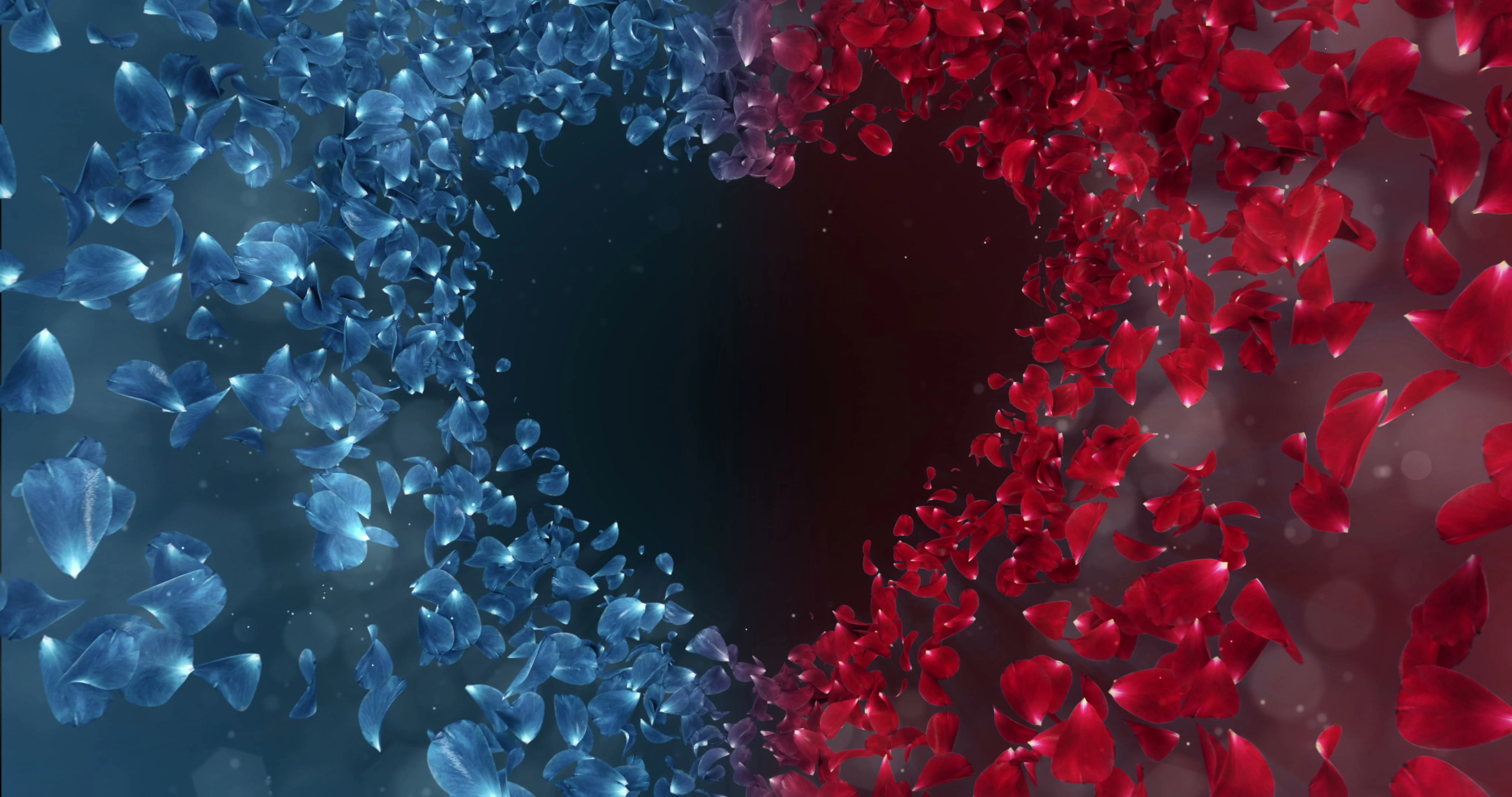 Red Blue Rose Flower Petals In love Hear... | Stock Video | Pond5