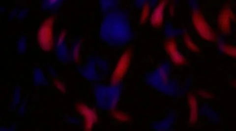 Red Blue Spin Stock-Footage 11693945