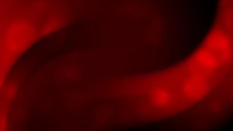Red blurred curves blend into dark shadowy areas. Stock Footage 302136559