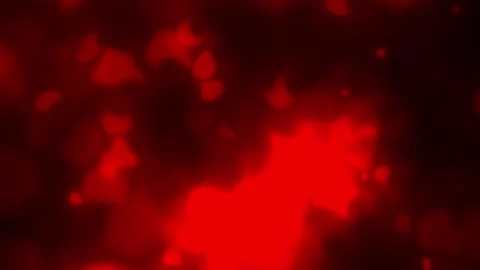 Red blurry spots light up and fade on a dark background. Animate an abstract Stock Footage 284937740