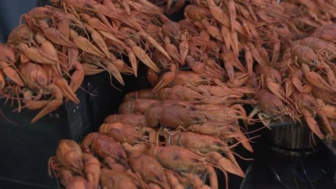 Red boiled crayfish close-up, a good snack for beer. Stock Footage 227226732