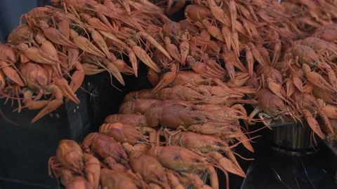 Red boiled crayfish close-up, a good snack for beer. Stock Footage 227226808