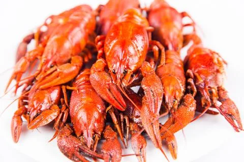 Red boiled crayfish Stock Photos