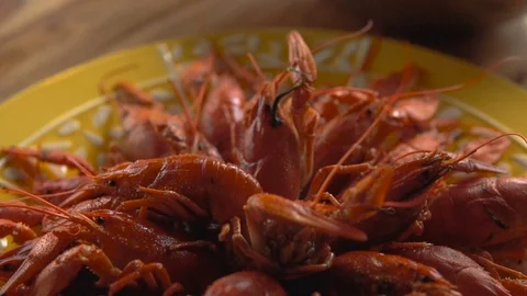 Red boiled crayfish on a platter. Close-up Chef puts crayfish on a huge plate Video stock 103204210