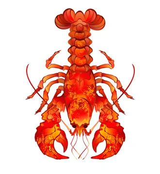 Red Boiled Lobster Stock Illustration