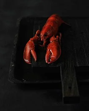 Red boiled lobster 스톡 사진