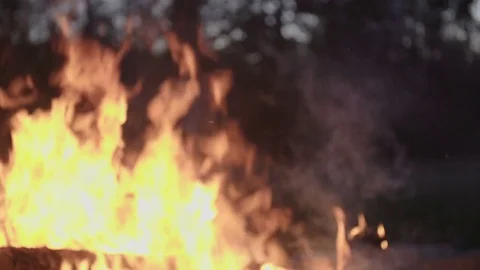 Red bonfire realtime with shallow depth of field Stock Footage 70381011