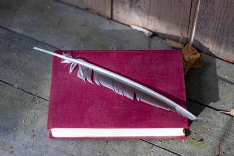 Red Book. Stock Photos