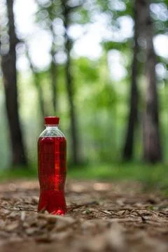 Red bottle in a forest Stock Photos