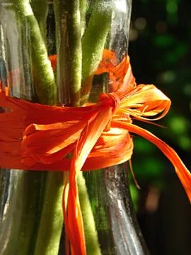 Red Bow Stock Photos
