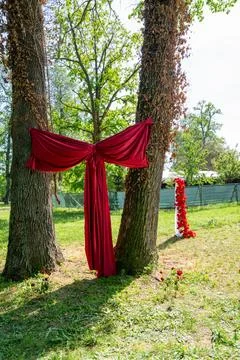 A red bow tied to two trees, arrangement for the bride and groom in the par.. Stock Photos