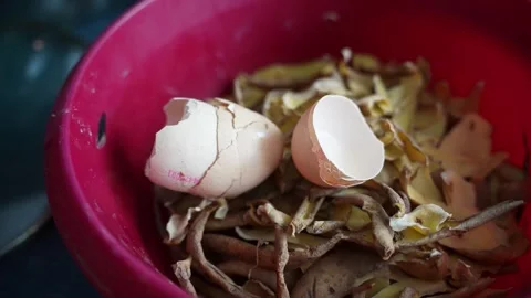 Red bowl filled with eggshells and vegetable peelings, household bio waste Stock Footage 327554190