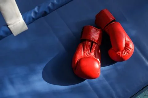 Red boxing gloves on blue ring mat ready for training and tournament Stock Photos