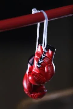 Red boxing gloves in the ring Foto stock