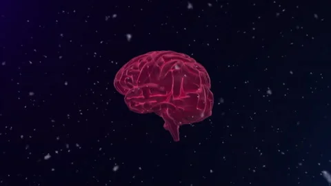 Red brain illustration with glowing lines over starry night sky animation Stock Footage 305080846