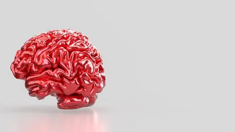 The Red Brain on white background for sci or medical concept 3d Rendering. Stock Illustration