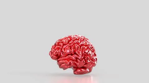 The Red Brain on white background for sci or medical concept 3d Rendering. Stock Illustration