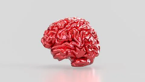 The Red Brain on white background for sci or medical concept 3d Rendering. Stock Illustration