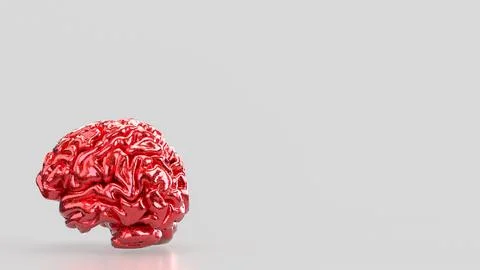 The Red Brain on white background for sci or medical concept 3d Rendering. Stock Illustration