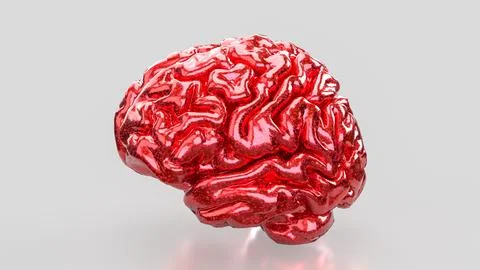 The Red Brain on white background for sci or medical concept 3d Rendering. Stock Illustration