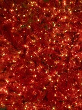 Red branches of a Christmas pine tree as a garland background, glowing lights Stock Photos