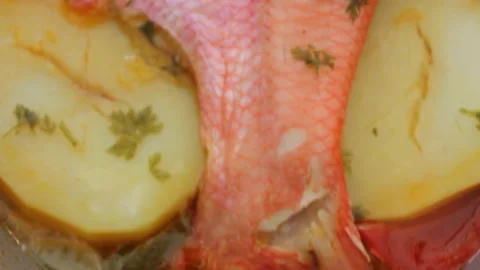 Red bream cooked at home Stock Footage 236941434