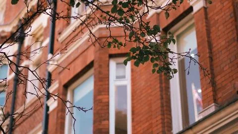Red brick building with windows and tree branches in urban setting Stock Photos