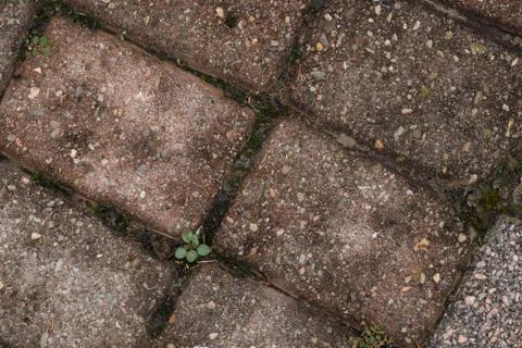 Red Brick Cobblestone Walkway Stock Photos