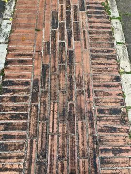 Red Brick Pavement Surface Texture with Scattered Small Yellow Leaves Outdoor Stock Photos