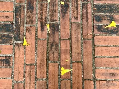 Red Brick Pavement Surface Texture with Scattered Small Yellow Leaves Outdoor Stockfoto's