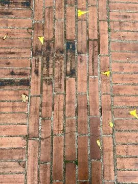 Red Brick Pavement Surface Texture with Scattered Small Yellow Leaves Outdoor Stockfoto's