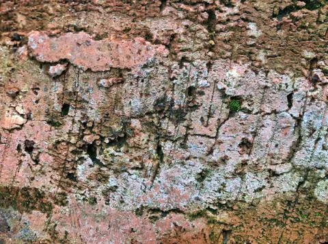 Red brick stone texture for background presentation Stock Photos