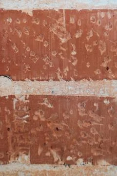 Red brick texture, close up stone Stock Photos