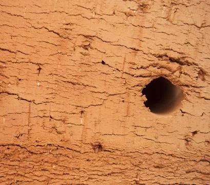 Red brick texture macro closeup Stock Photos