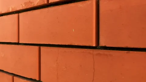 A red brick wall background. Close up. Stock Footage 312526058