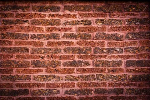 Red brick wall background Foto stock