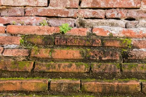 Red brick wall background Stock Photos