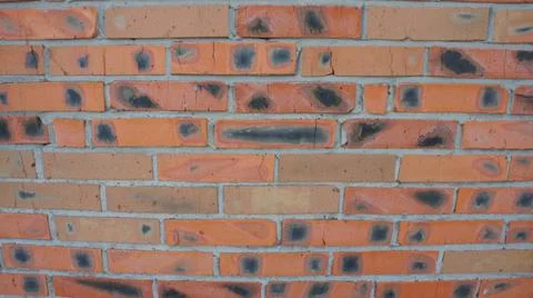 Red brick wall, bricks background for project Stock Photos