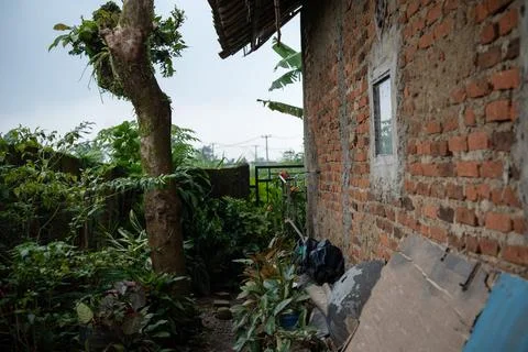 Red brick wall of a building next to a green garden and tree trunk Fotos de archivo