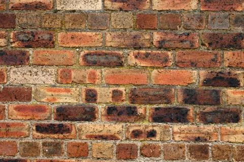 Red brick wall close up Fotos Stock
