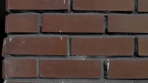 Red brick wall with drops of white paint Stock Footage 130207752