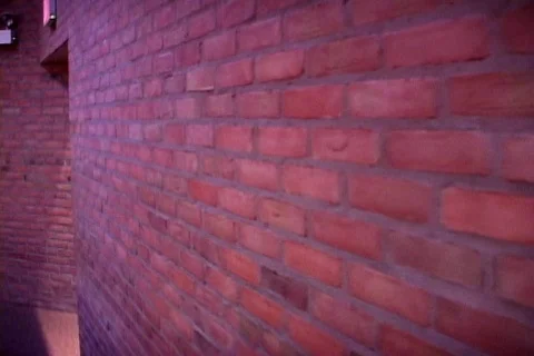 Red brick wall Stock Footage 753678