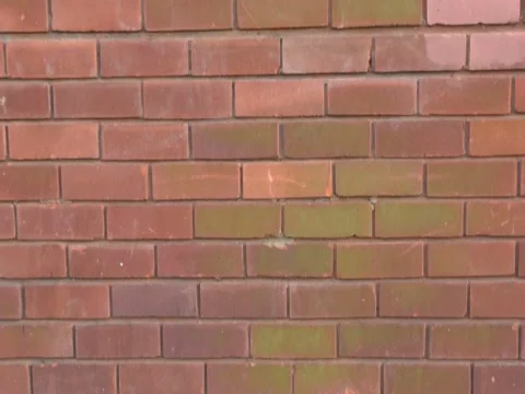 Red brick wall. Stock Footage 73521779