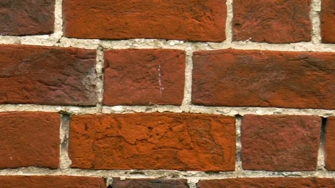 Red brick wall Stock Footage 78663170