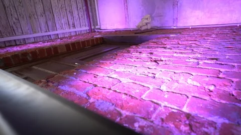 Red brick wall Stock Footage 103469883