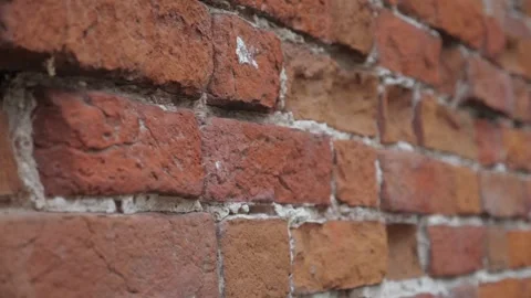 Red brick wall Video stock 252444336