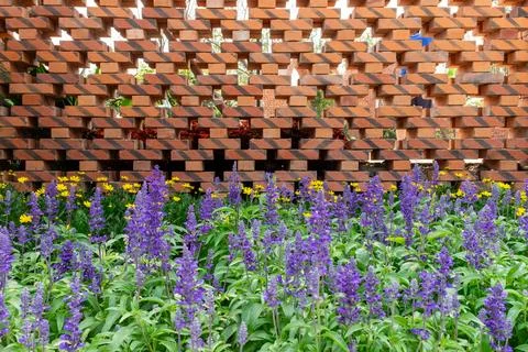 Red brick wall with geometric pattern behind purple flowers - Design concept Stock Photos